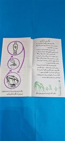 کاتالوگ