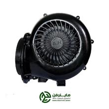 فن