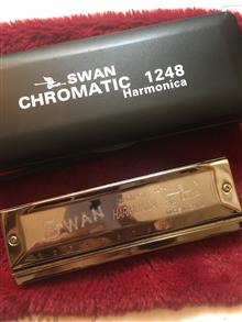 SWAN