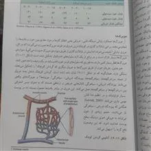فیزیولوژی