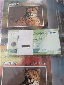 بسته