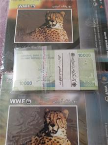 بسته