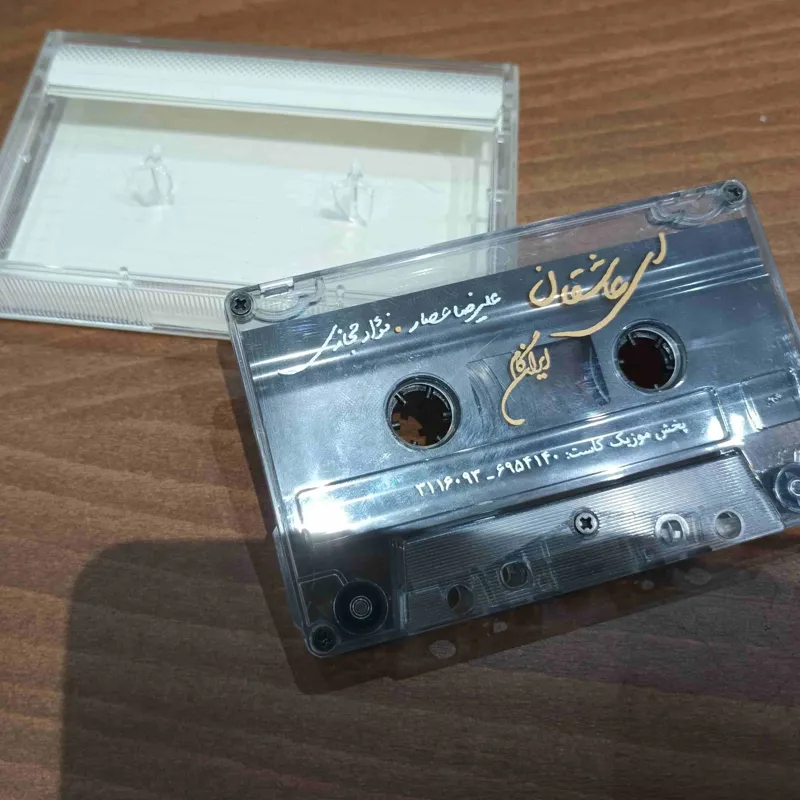  کاست اورجینال ای عاشقان ، علیرضا عصار