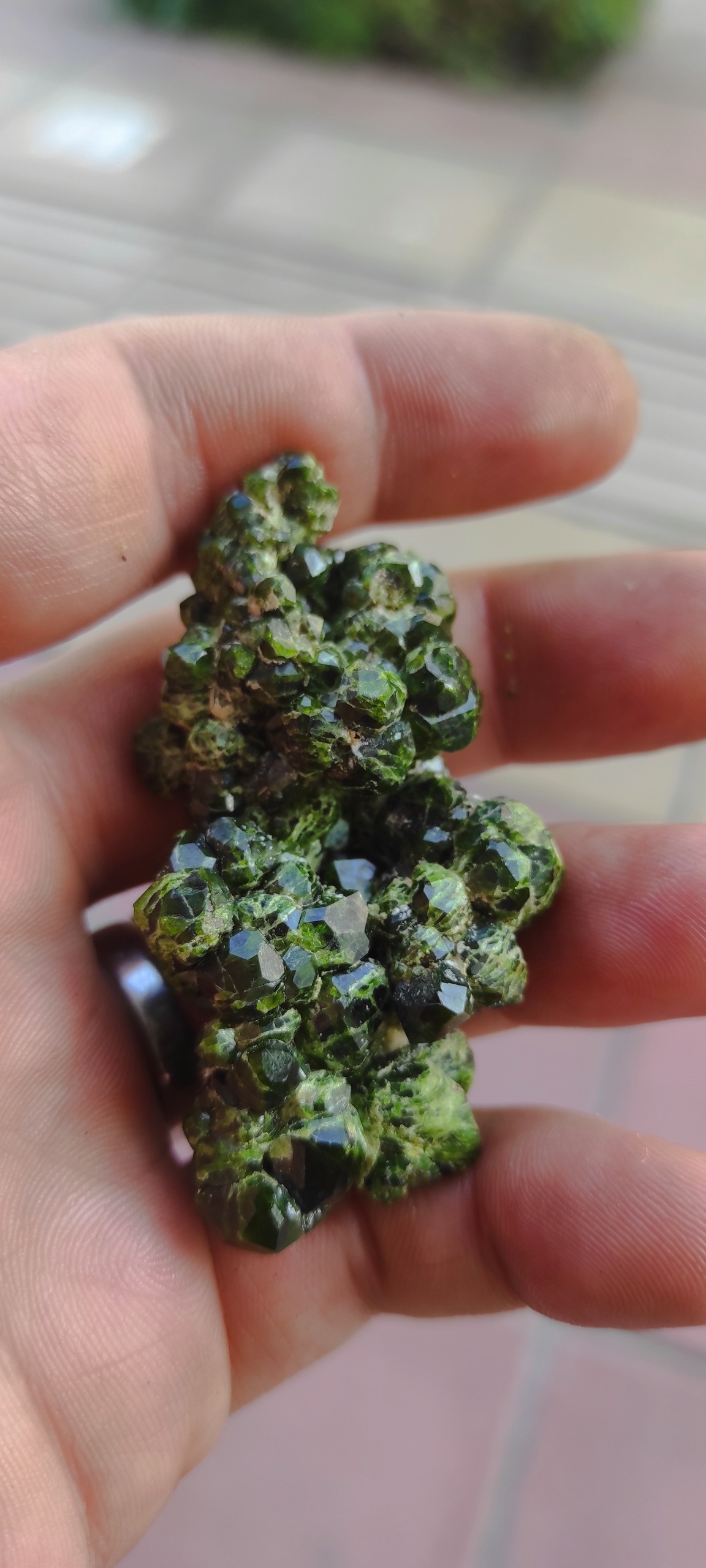 سنگ کلکسیونی گارنت سبز دمانتوئید معدنی ،کلونی