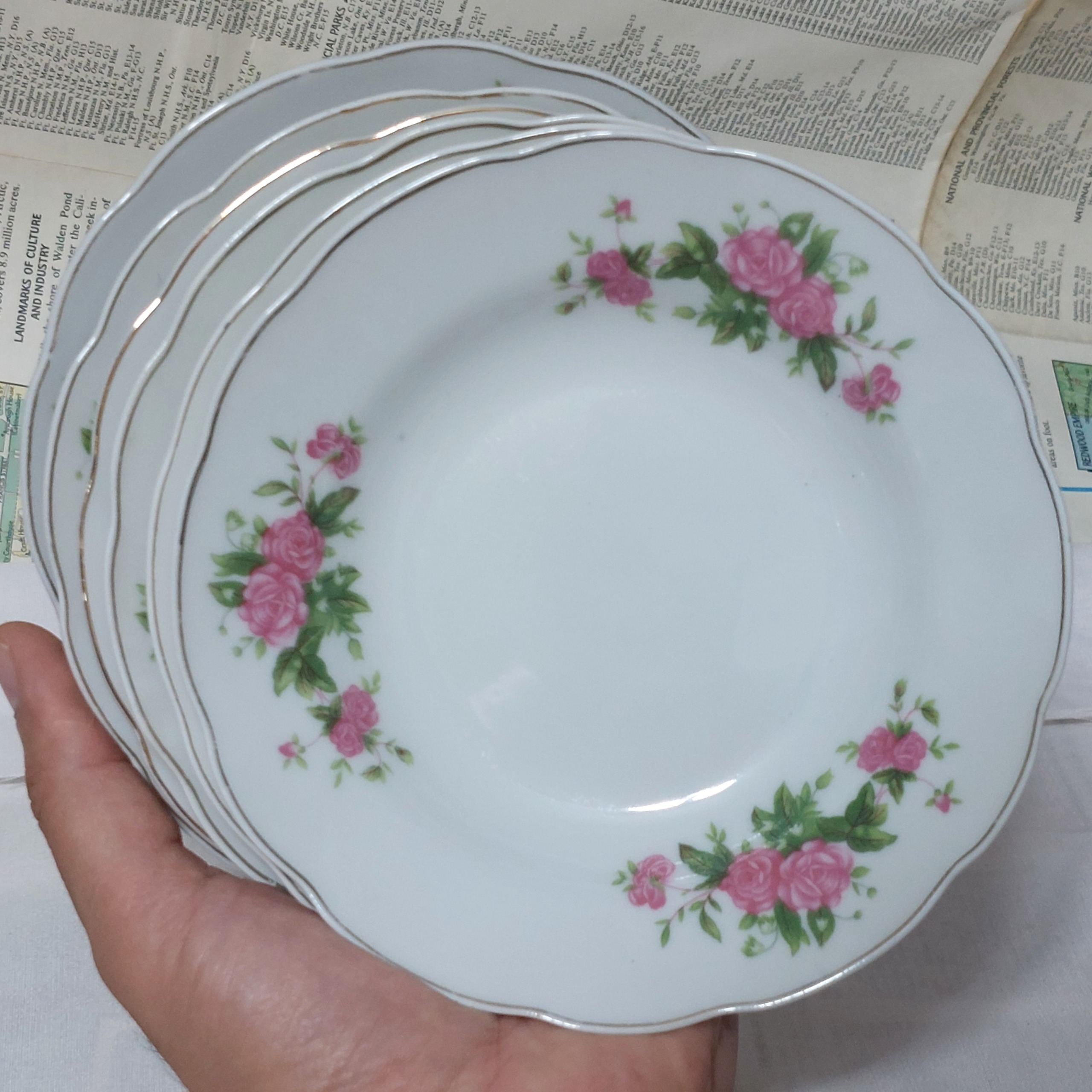 بشقاب گلسرخی فرنی خوری