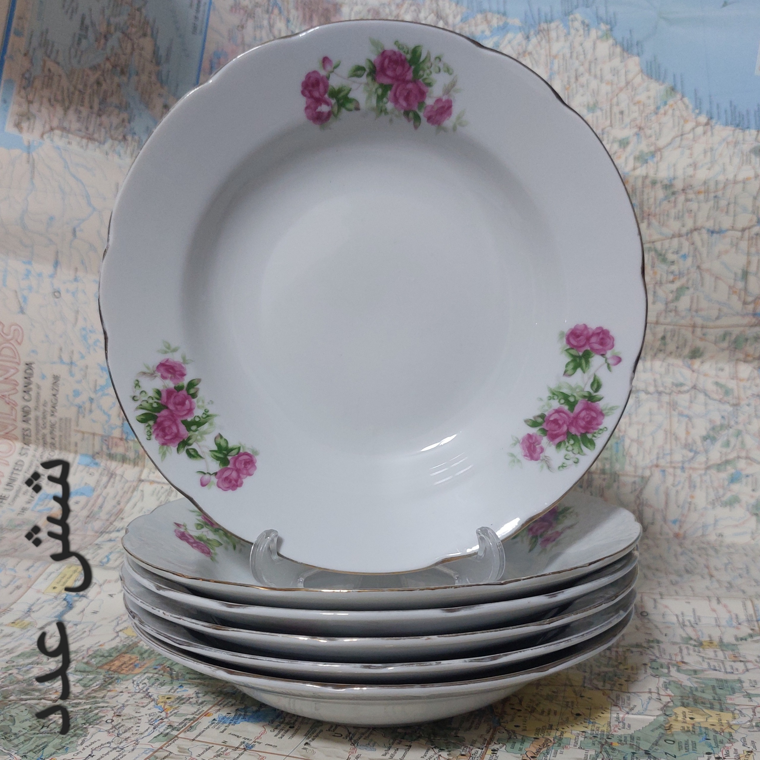 بشقاب گلسرخی خورشتخوری