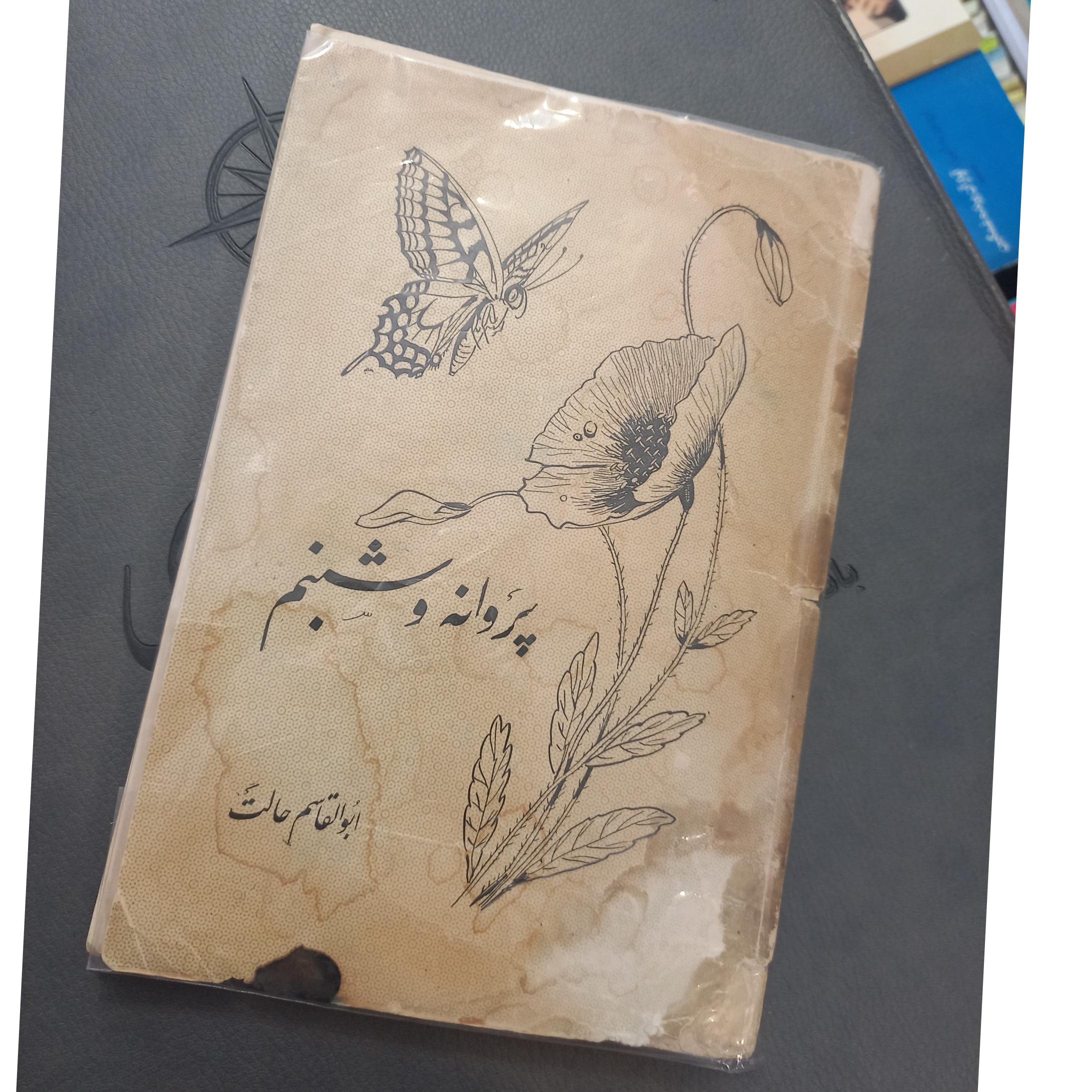 پروانه و شبنم