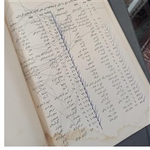 پروانه