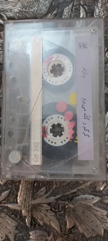 گرگم و گله می برم