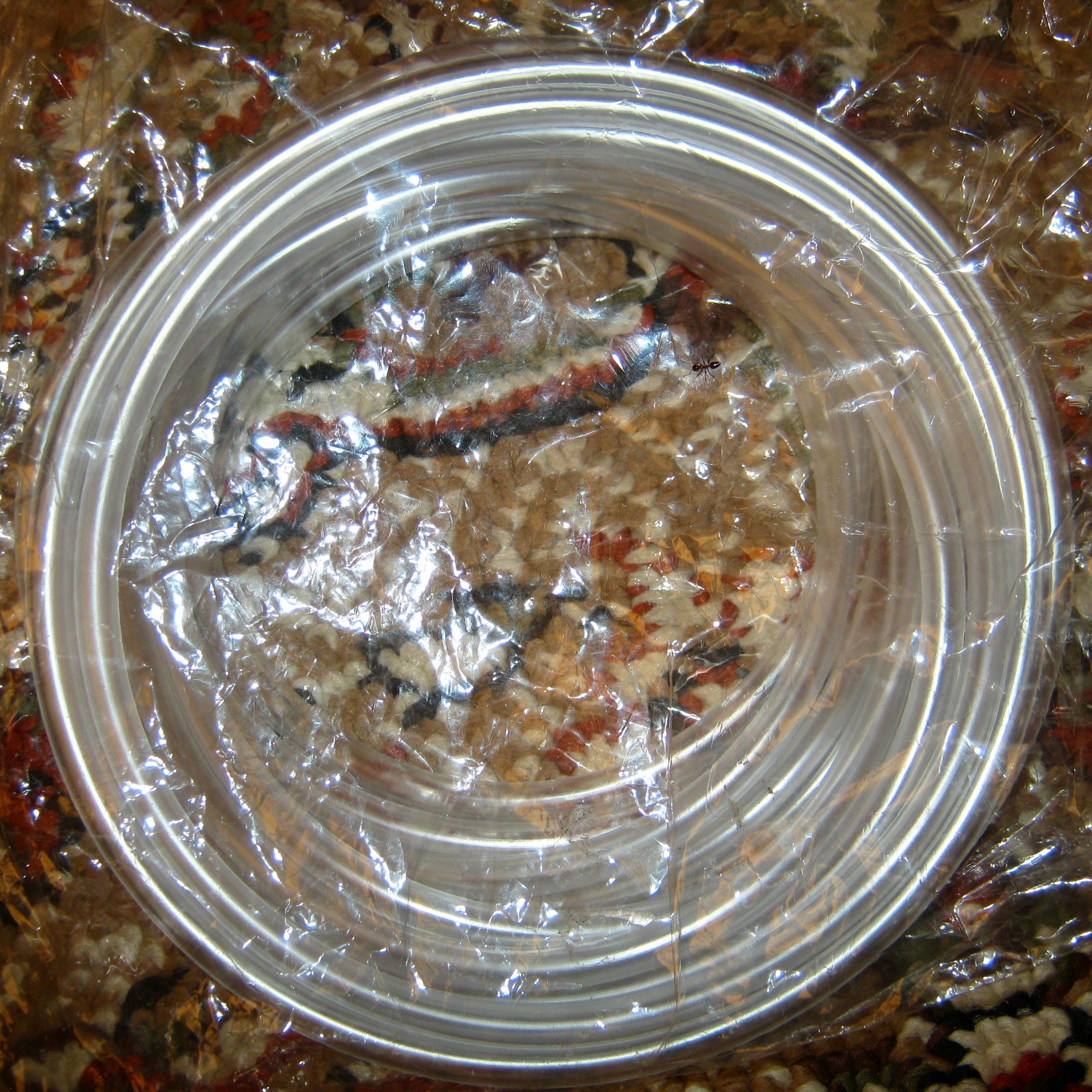 شیلنگ آکواریوم متری (با هزینه ارسال)