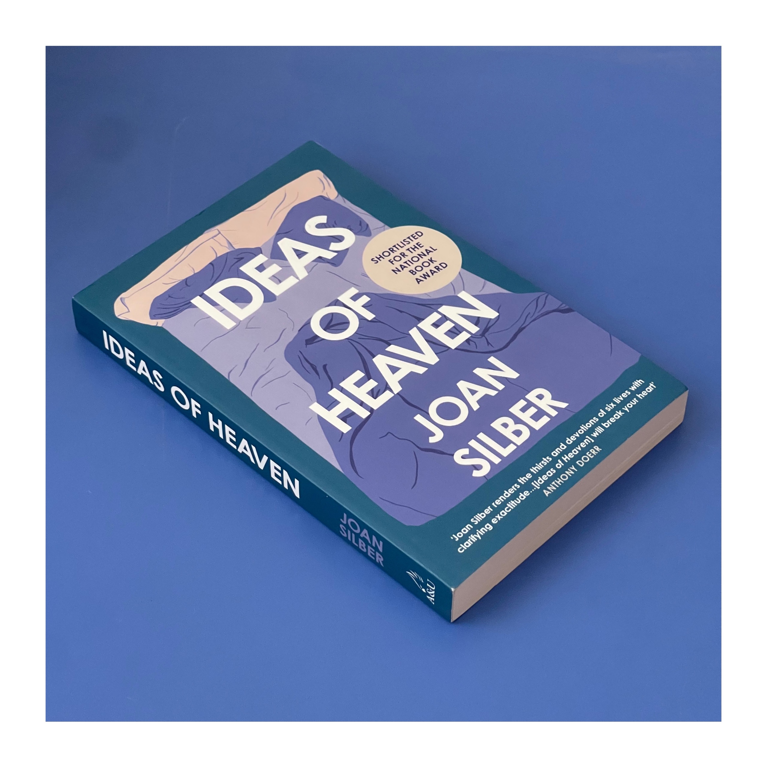 Ideas of Heaven / Joan Silber