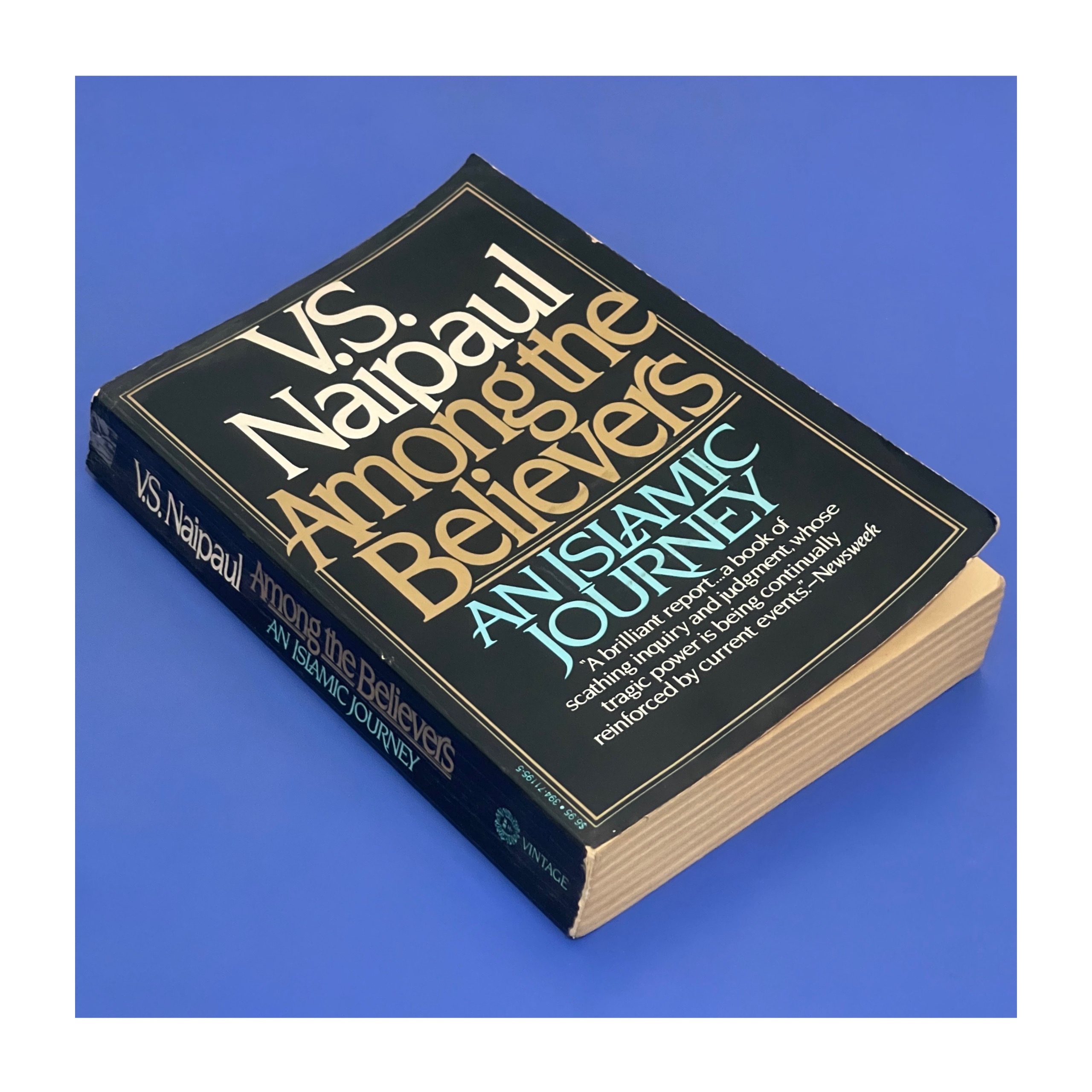 Among the Believers / VS Naipaul