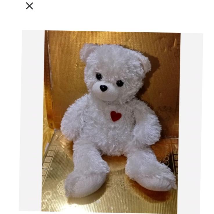 خرس بزرگ زیبا پولیشی سفید