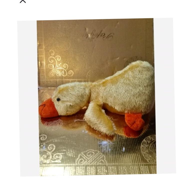 عروسک ارددک زیبا