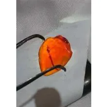 آویز