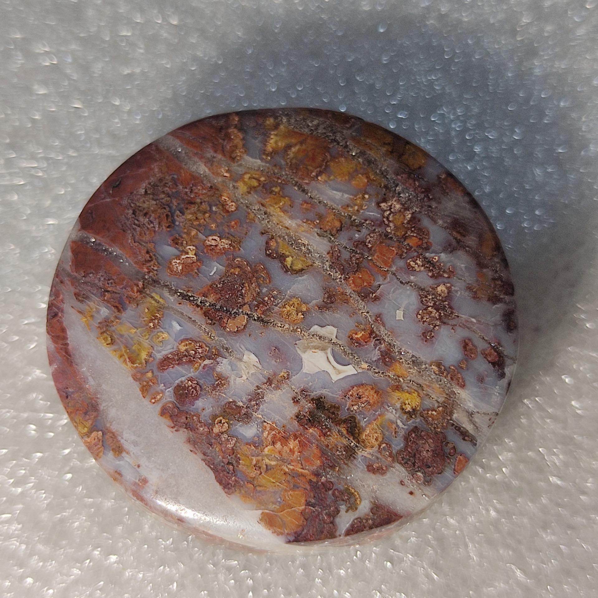 مزایده شجر گل اناری پاییزی مدالی ارتفاع دار درشت