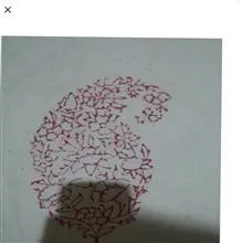 سفره