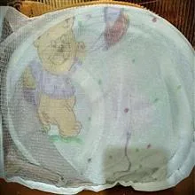 پشه