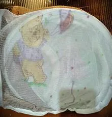 پشه