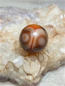 گوی