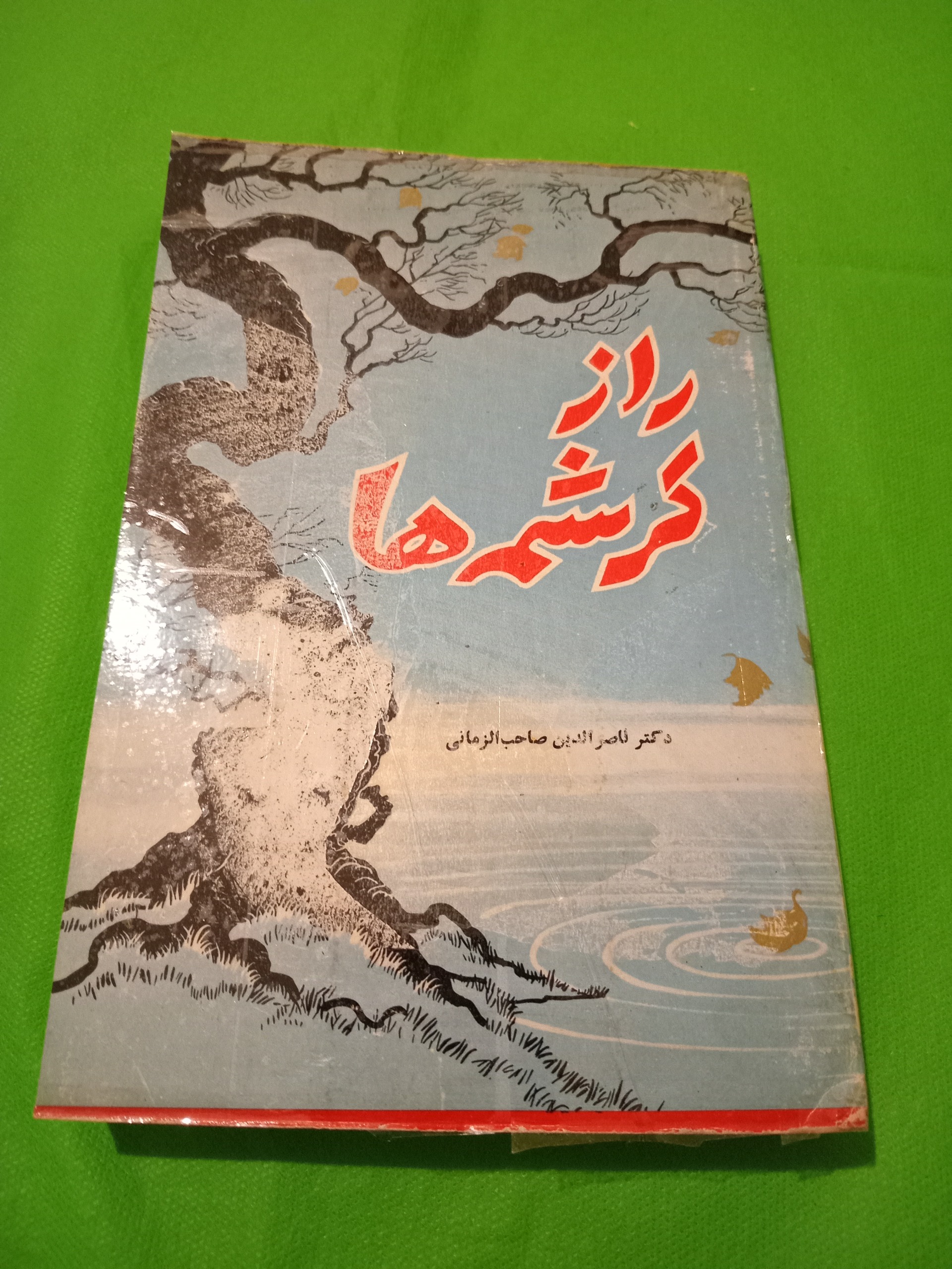 راز کرشمه ها دکتر صاحب الزمانی