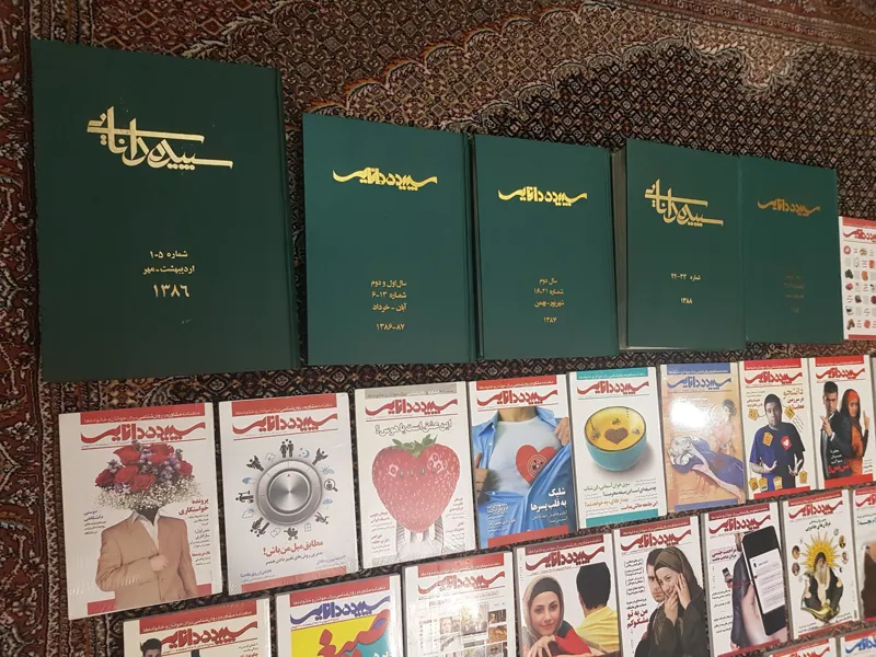 مجله روانشناسی و اجتماعی - سپیده دانایی