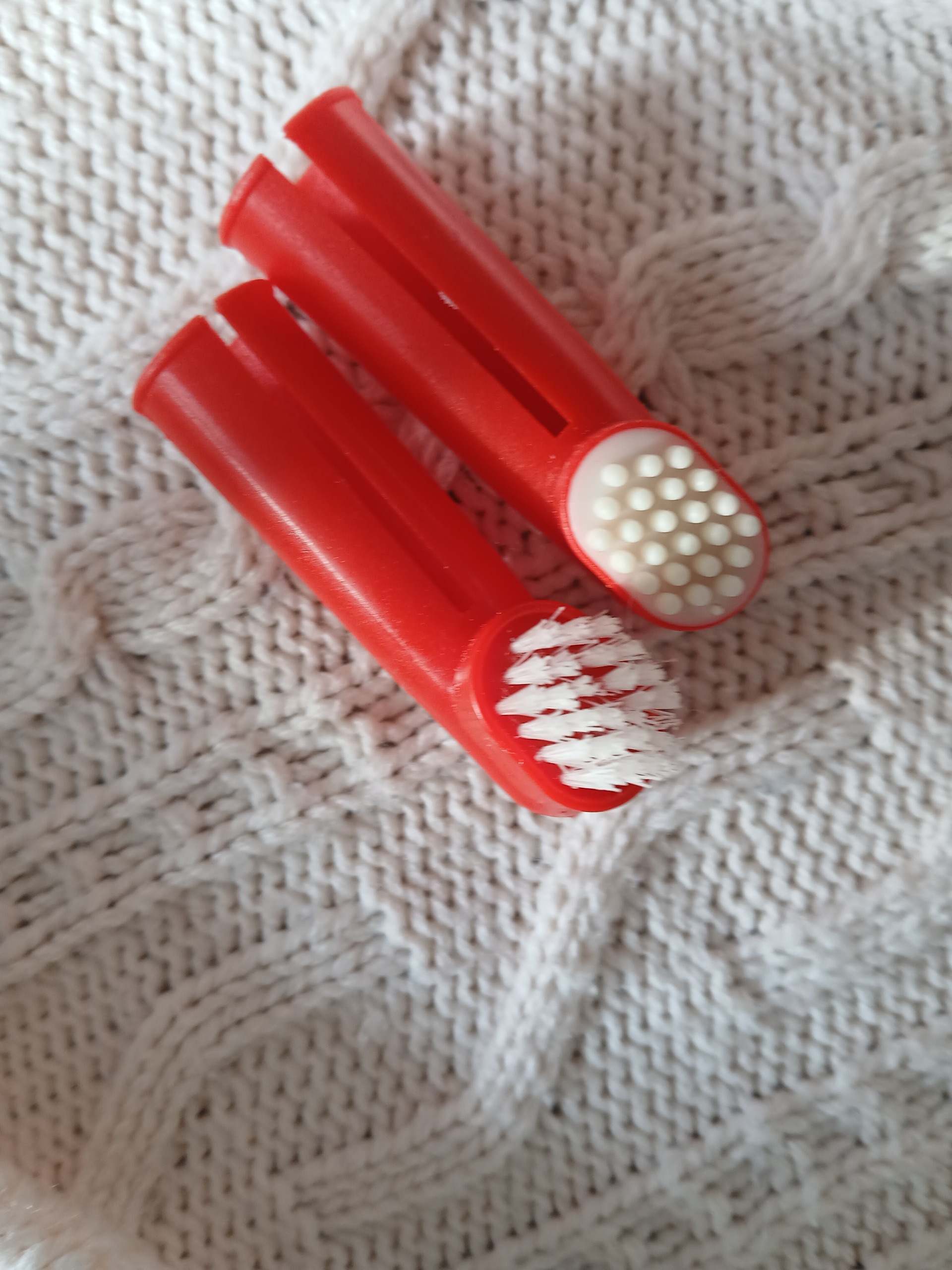 مسواک سگ و گربه