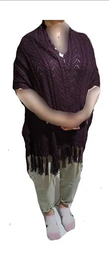 رودوشی