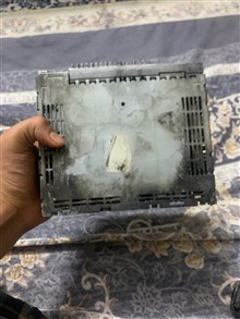 ظبط
