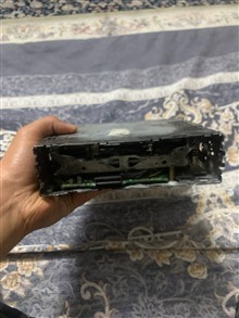 ظبط
