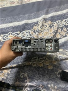 ظبط