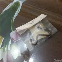 لوله