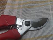 قیچی