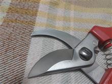 قیچی
