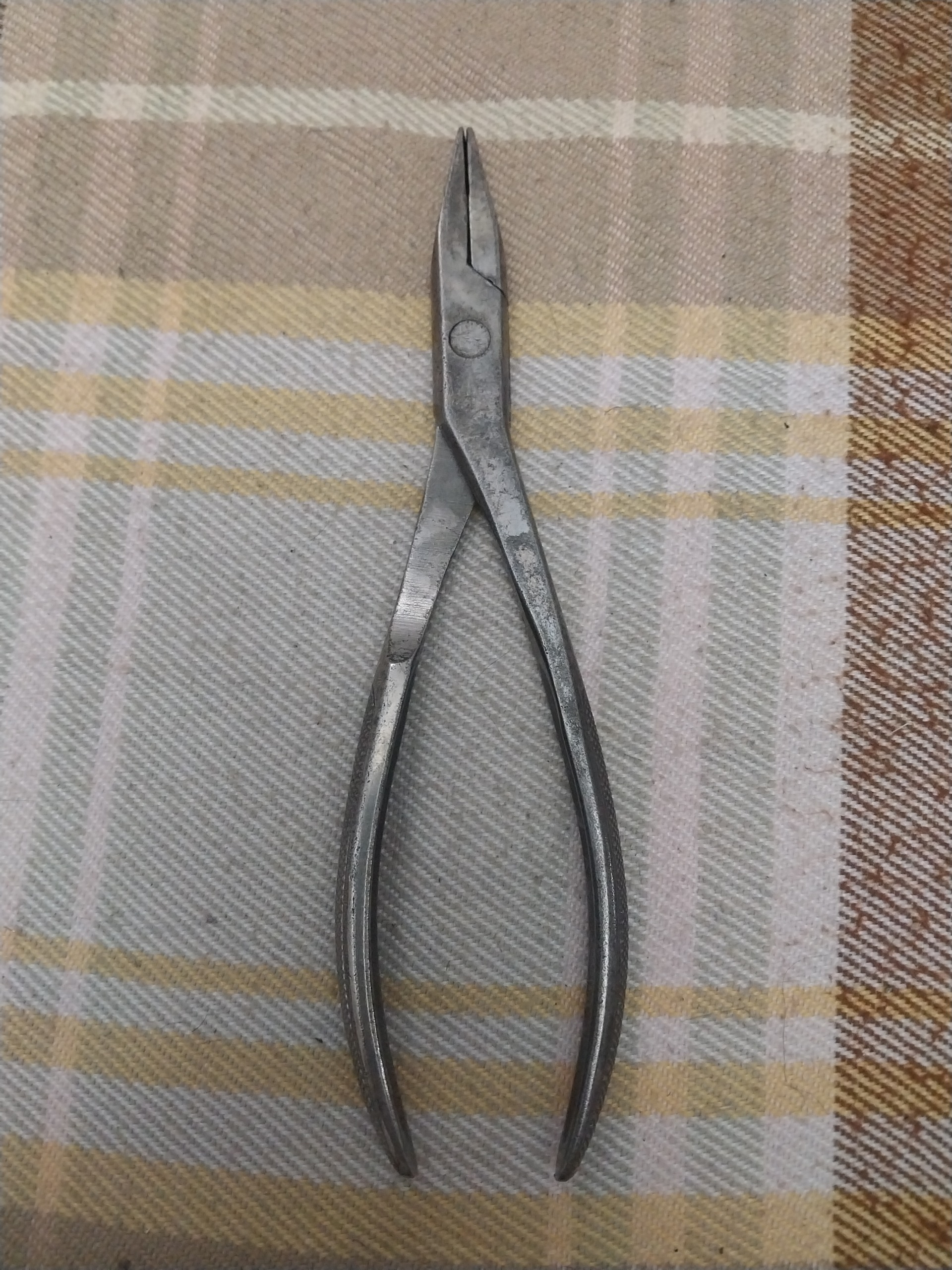 دم باریک Belzer آلمانی