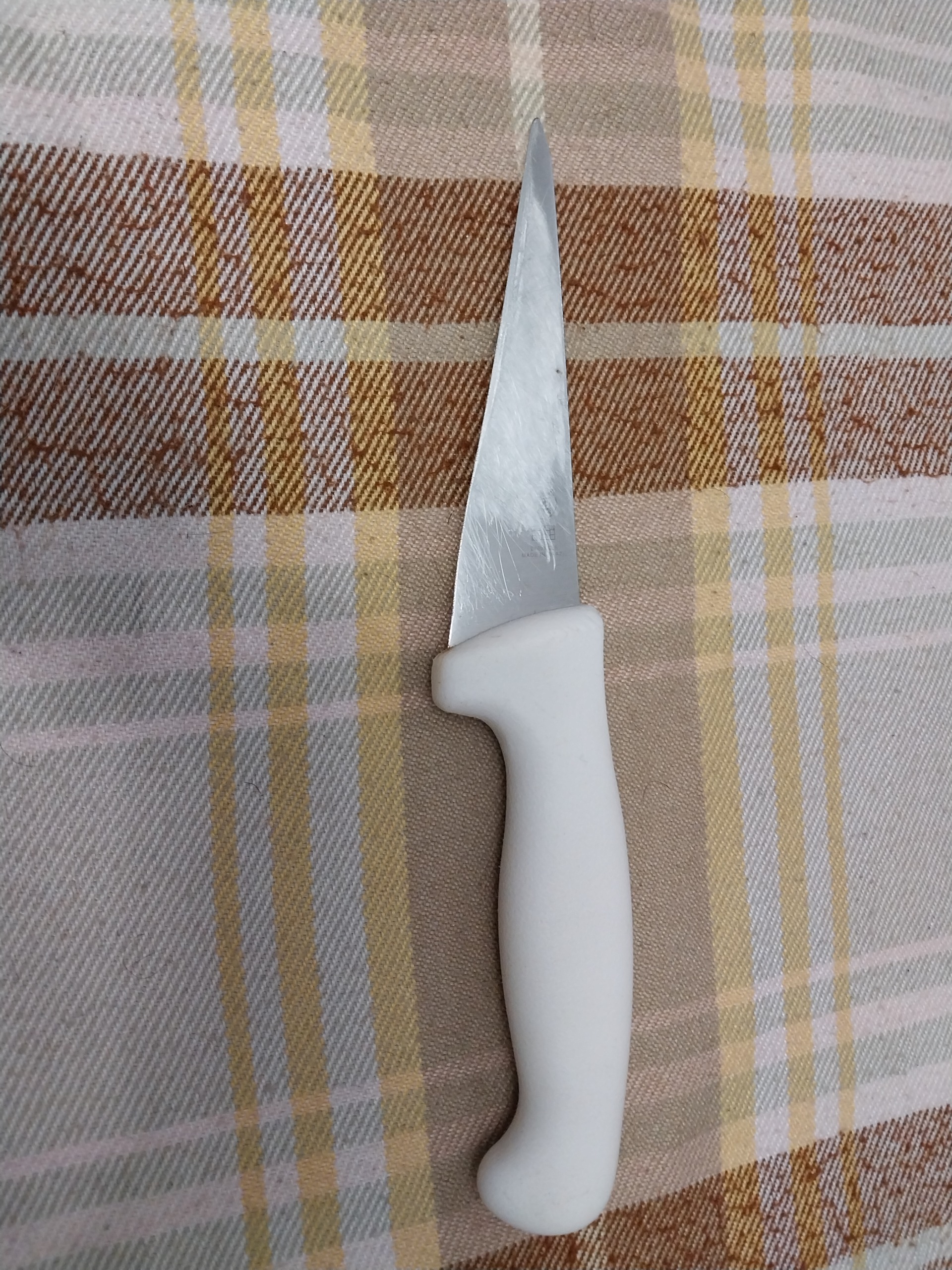 چاقو برزیلی بی خصی تراموتینا