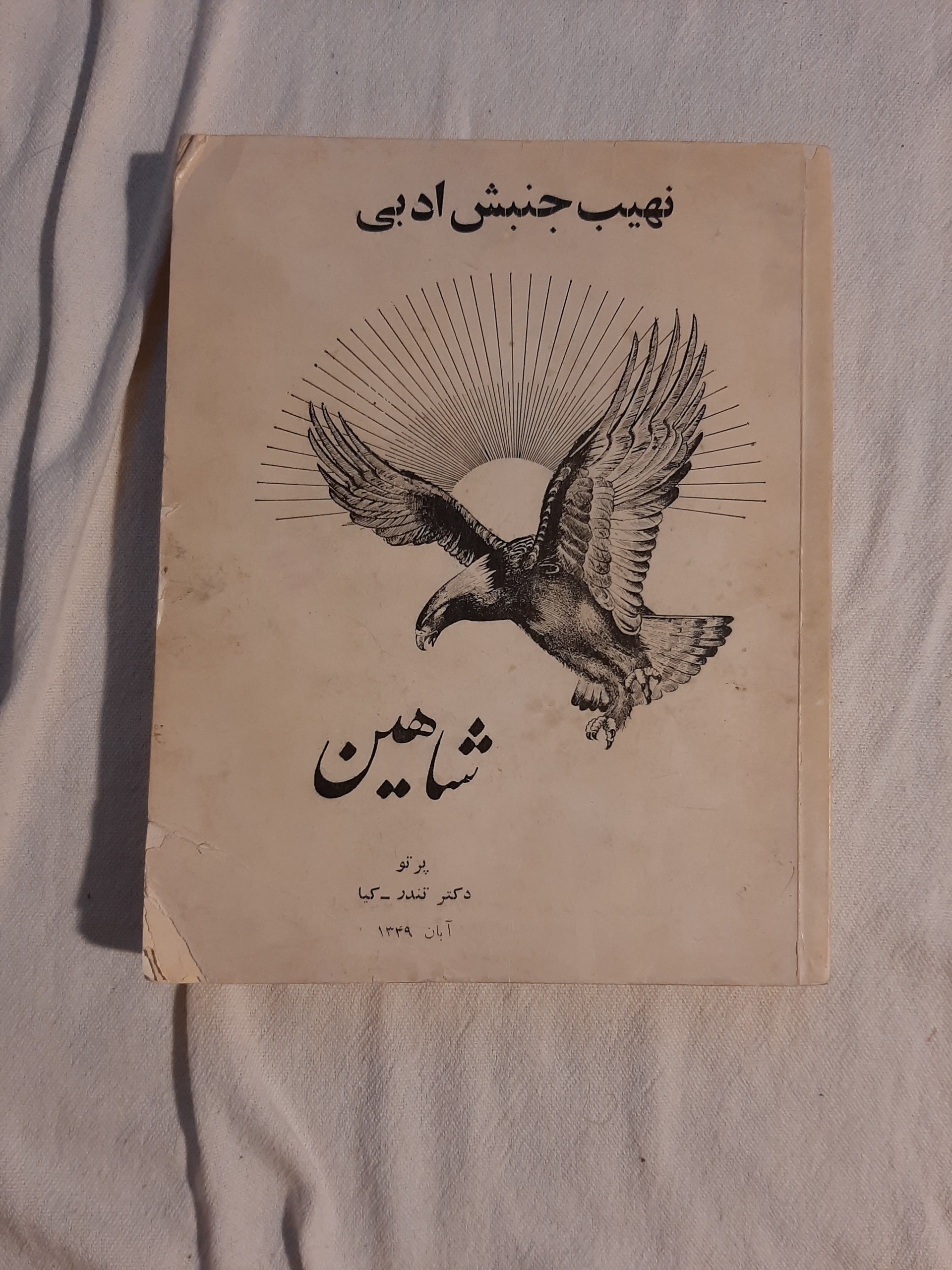 نهیب جنبش ادبی شاهین تندر کیا