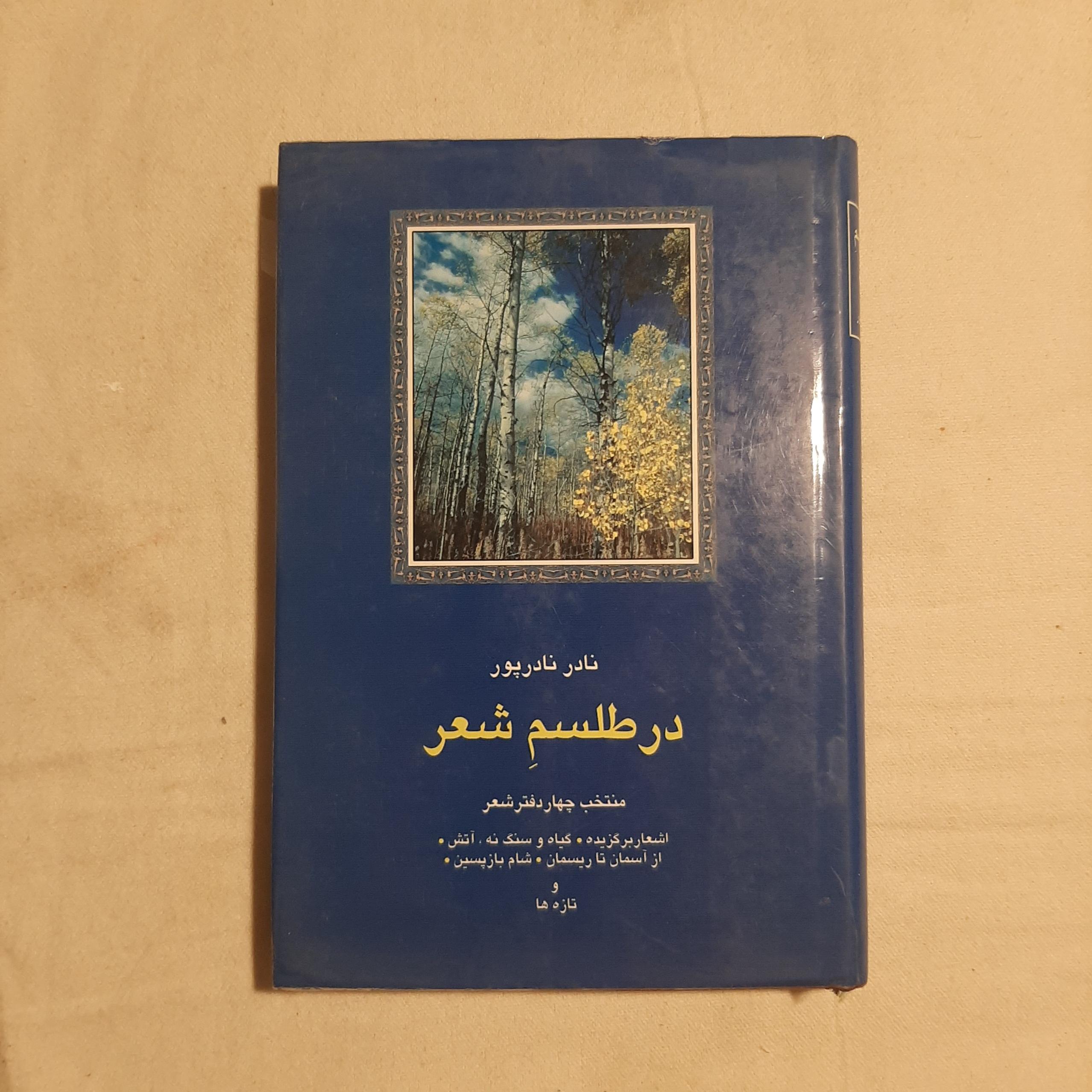 در شعر نادر نادرپور