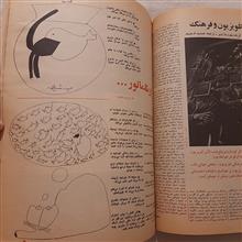 تماشا