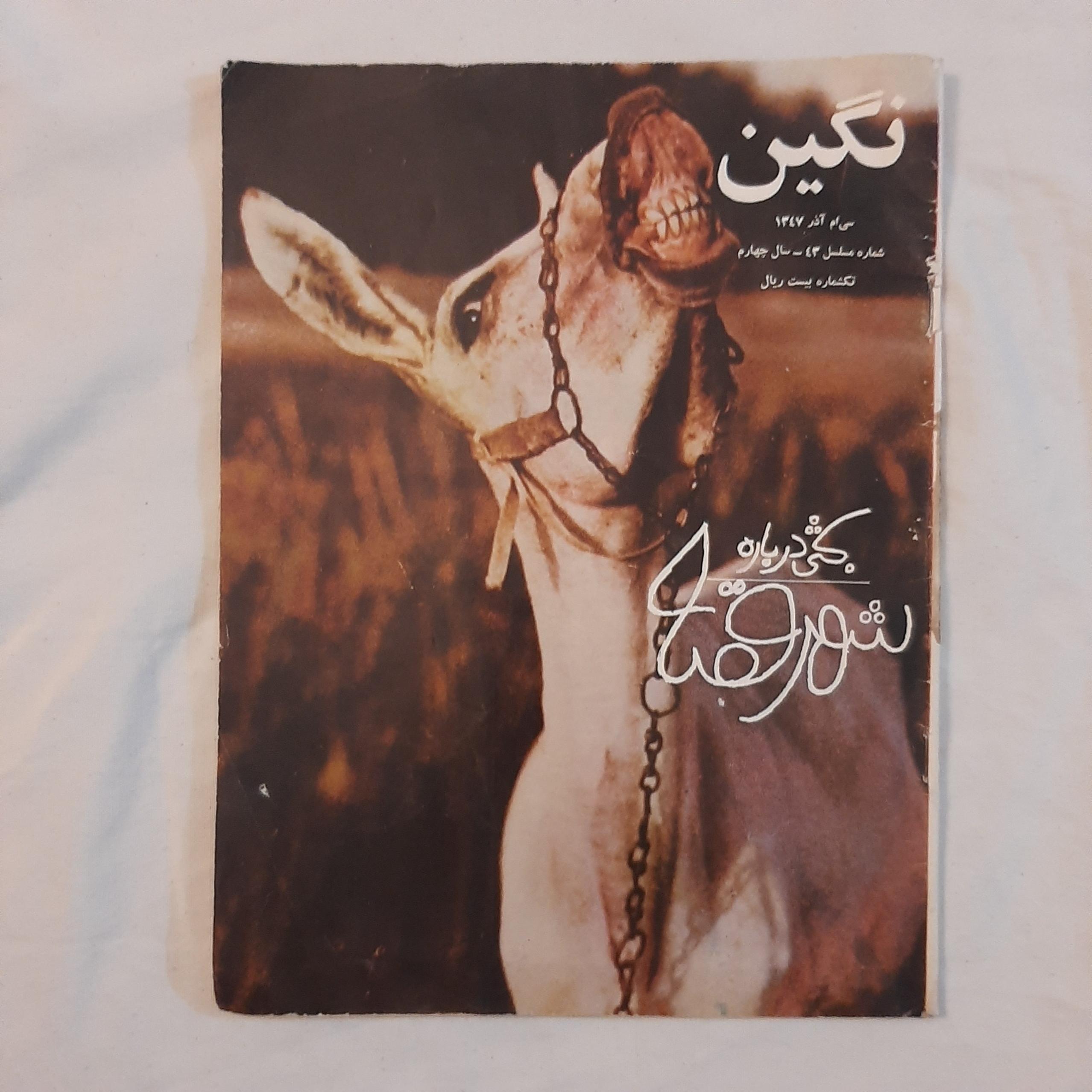 مجله نگین بحثی درباره شهر قصه