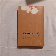 زمین