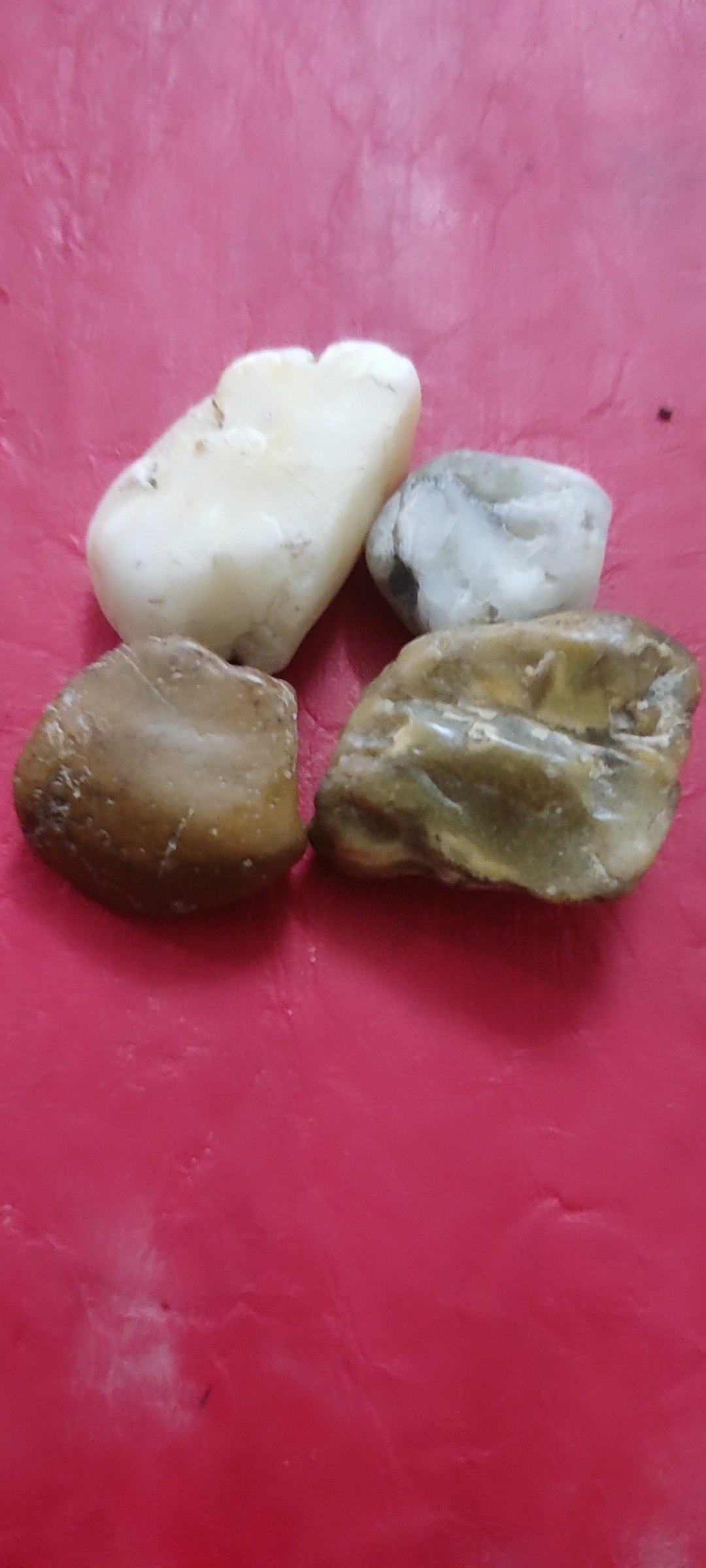 پک سنگ راف بسیار جذاب