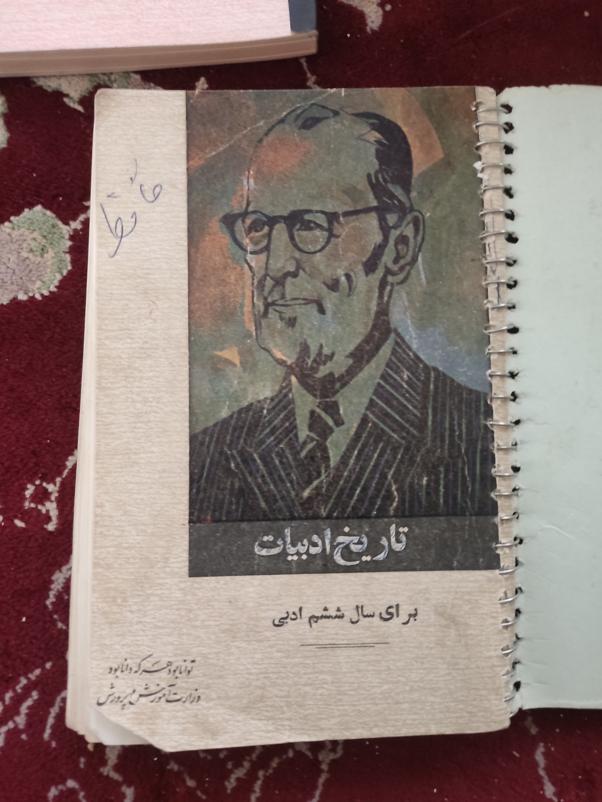 کتاب تاریخ ادبیات کمیاب 1348 با سه عکس پهلوی