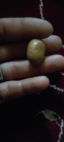 خرمهره