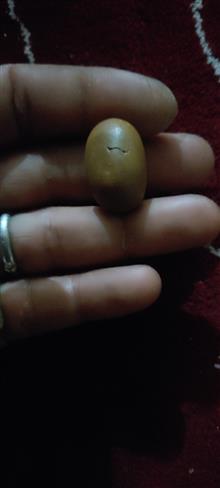 خرمهره