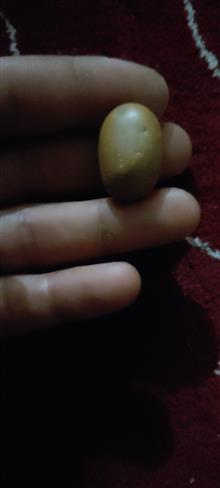 خرمهره