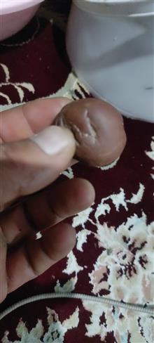 راف