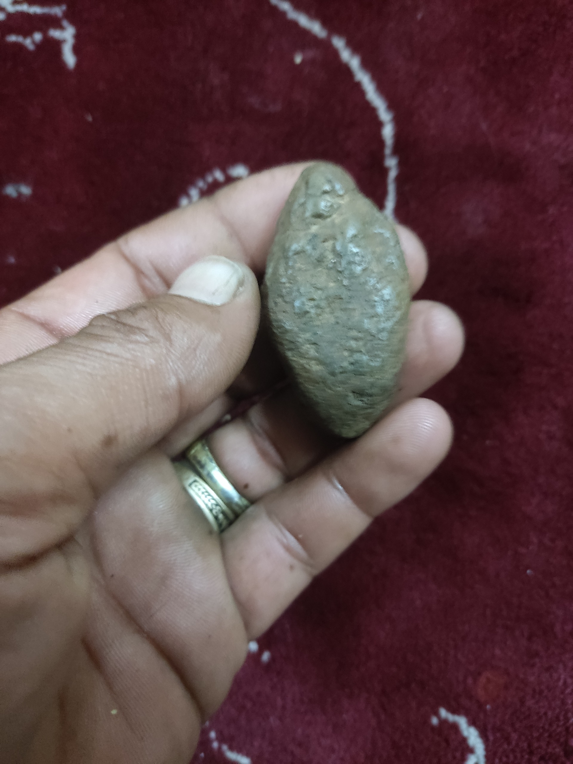 هبهاب پر انرژی کمیاب و زیبا