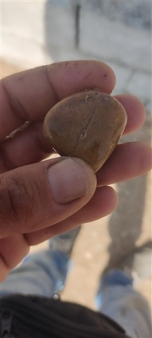 هبهاب