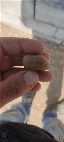 هبهاب